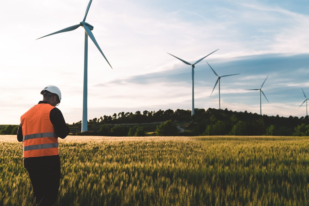 wind farm 