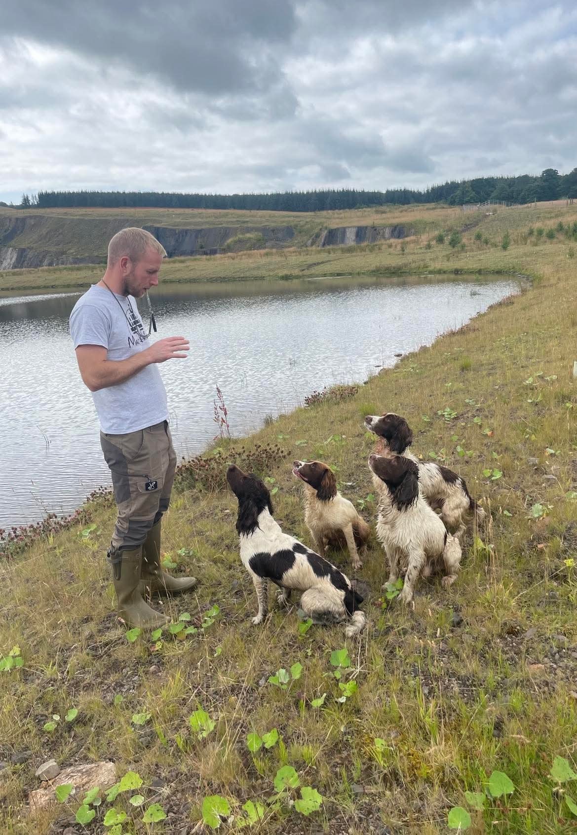 training spaniels 