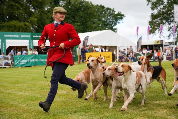 Hound Parade on the Main Arena with a woman and dogs behind her