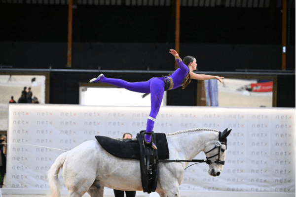 Pegasus Vaulting Group performance