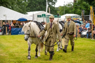 Working Hill Ponies