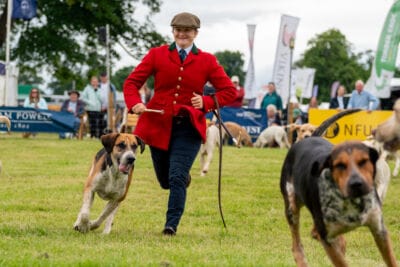 Duke of Buccleuch’s Hounds Duke of Buccleuch's Hounds